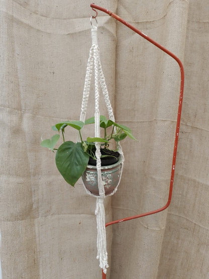 Macrame Plant Hanger