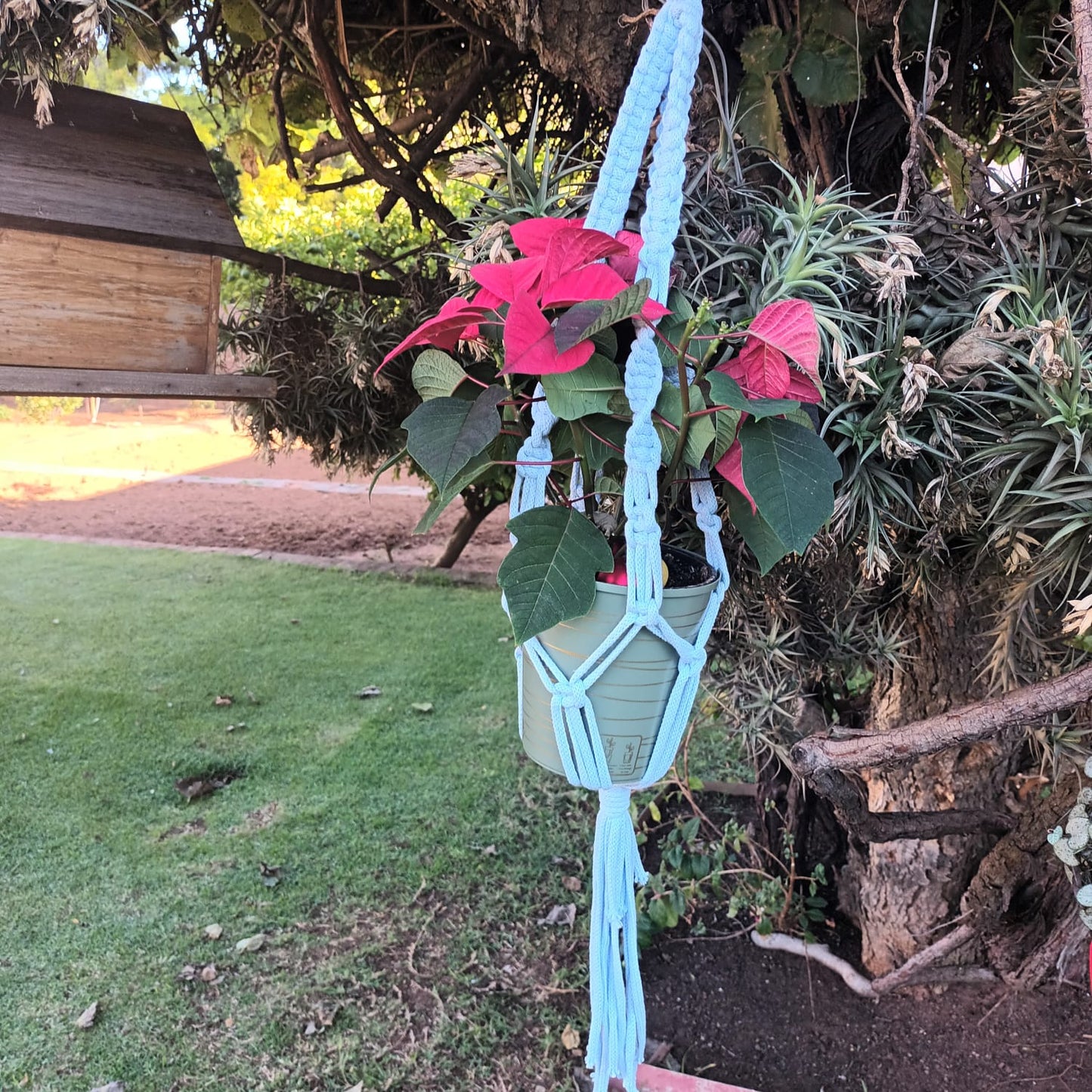 Macrame Plant Hanger