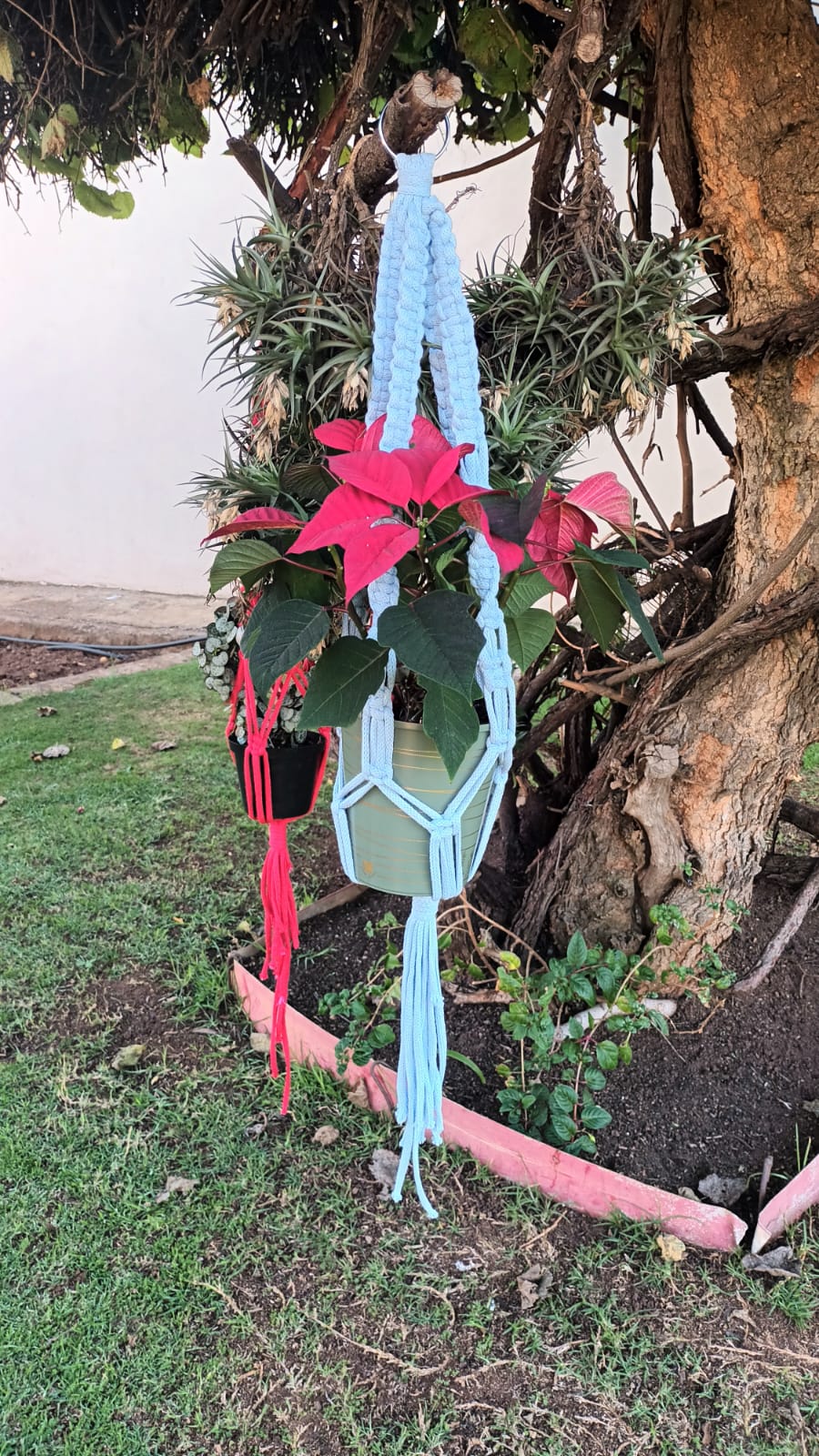 Macrame Plant Hanger