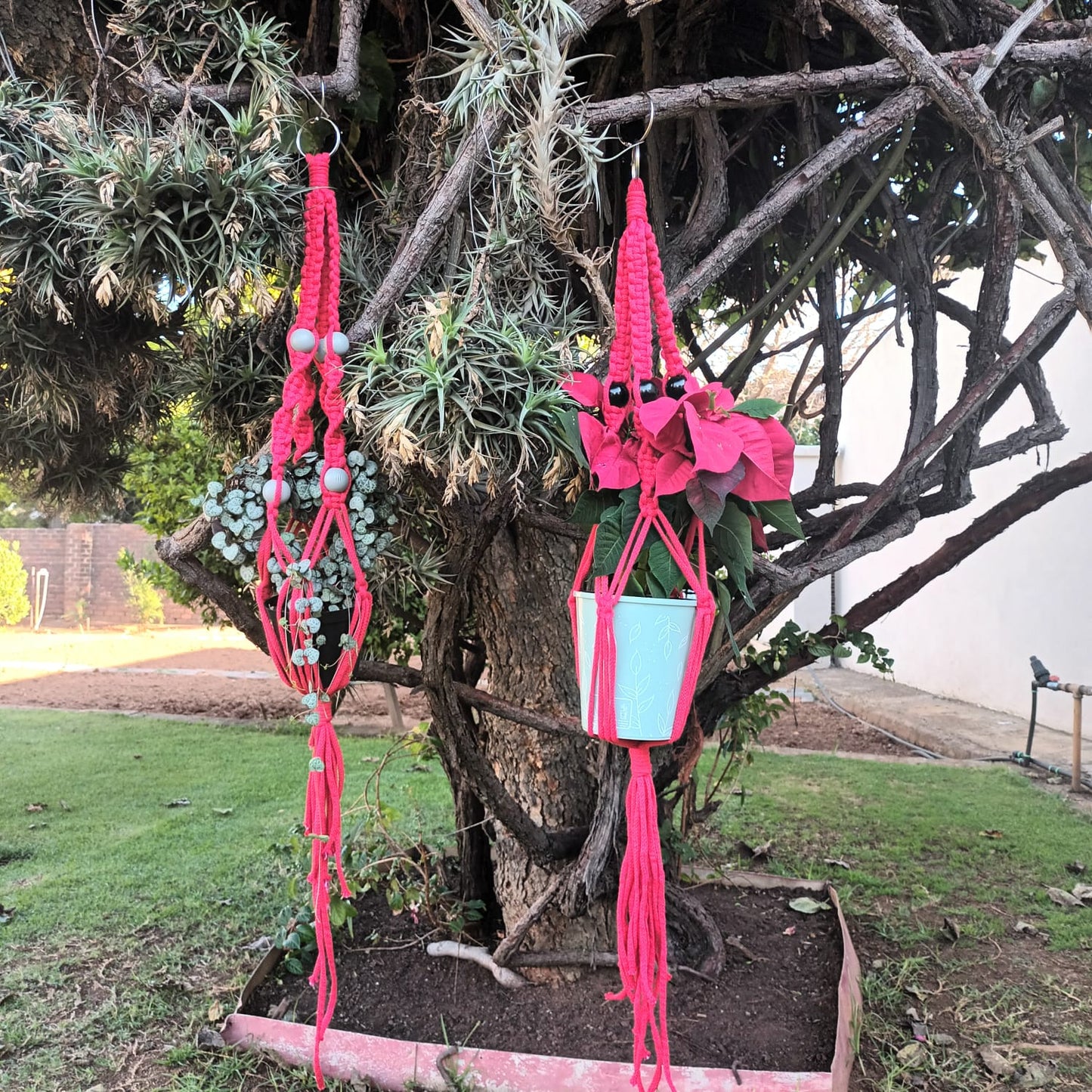 Macrame Plant Hanger